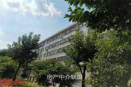 市中区西昌路海之杰对过崔庄自建房2室1厅4卫