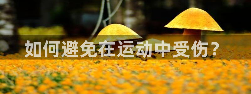 好博体育GD官网：如何避免在运动中受伤？
