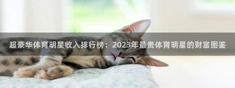 好博体育与塞维利亚合作详情：超豪华体育明星收入排行榜：2023年最贵体育明星的财富图鉴